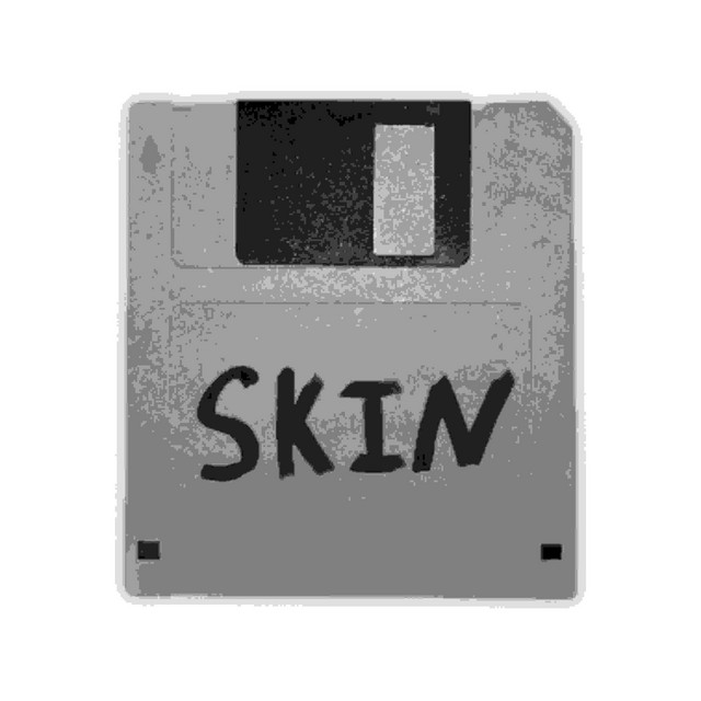 SKIN cover art