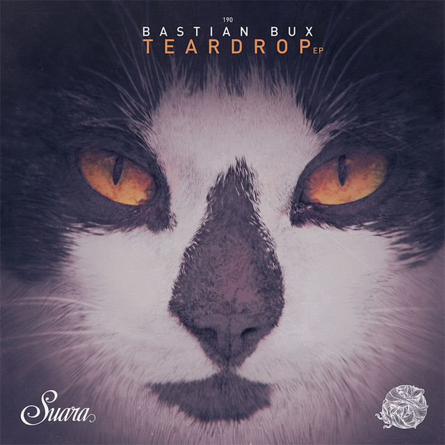 Teardrop cover art