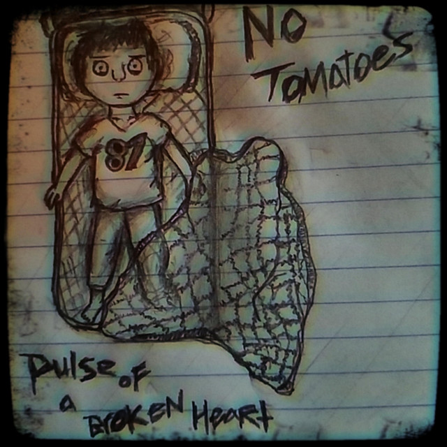 Pulse of a Broken Heart cover