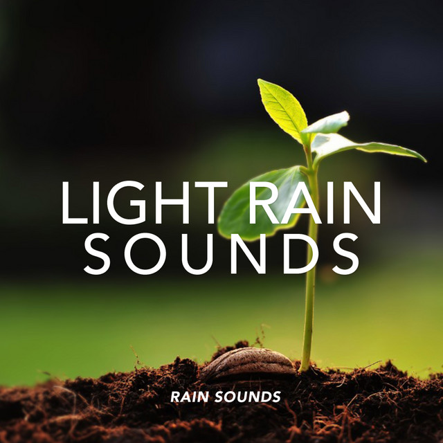 Light Rain Sounds cover art