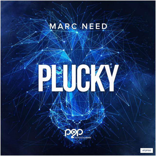 Plucky - Extended Mix album art