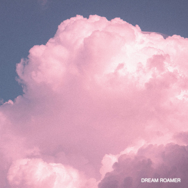 True North cover art