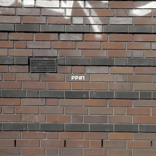 PP#1
