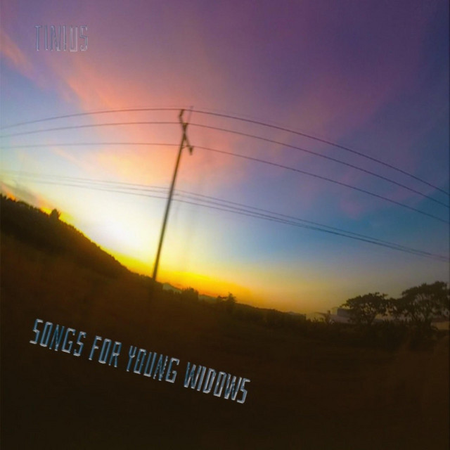Songs For Young Widows cover art