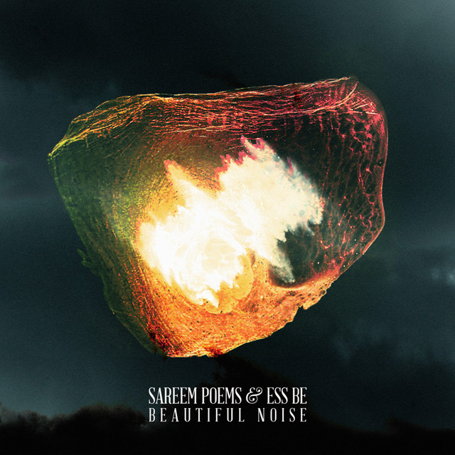Beautiful Noise cover art