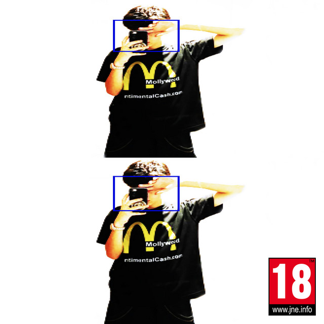 Skywalker cover art