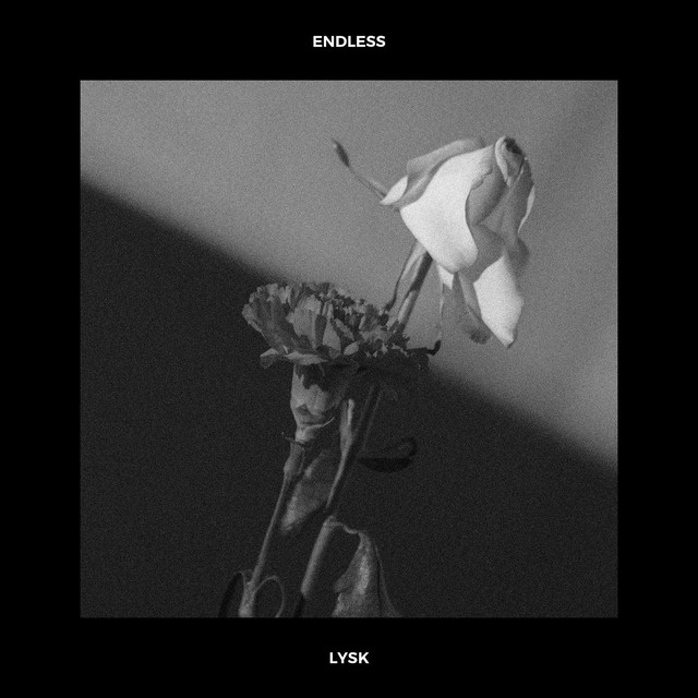 Endless cover