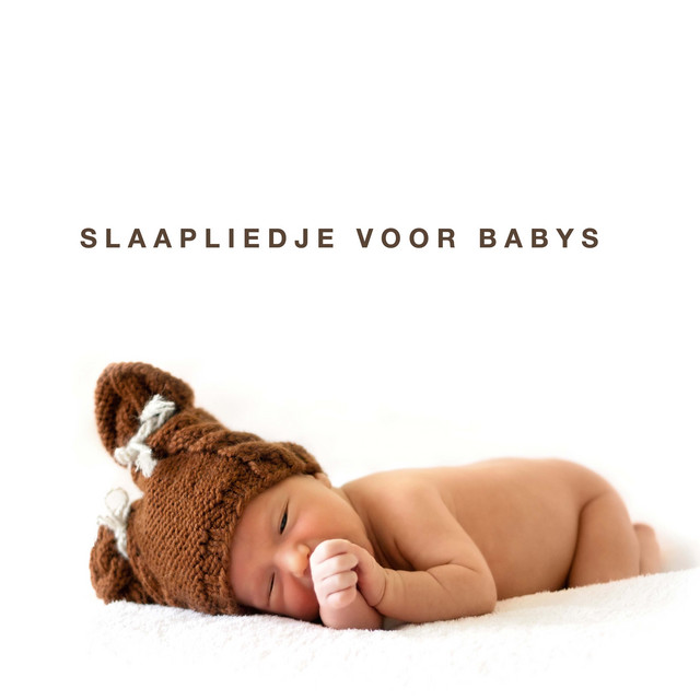 Slaapliedje voor Babys Instrumentale Slaapmuziek ♫ Rustige Baby Muziek ♫ Ontspanningsmuziek cover art