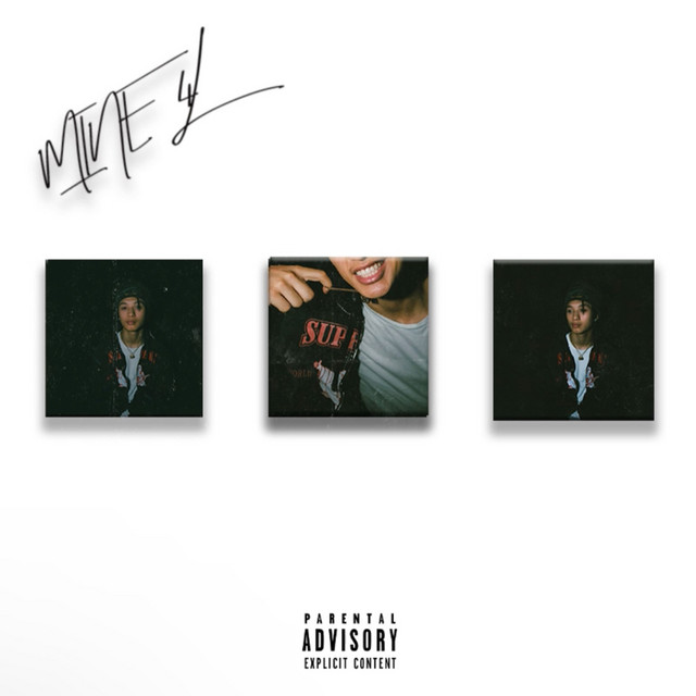 Mine 4l cover art
