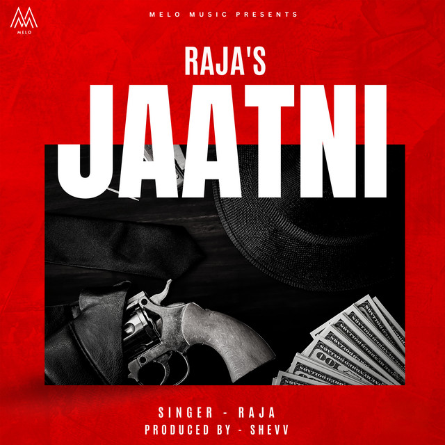 Cover of Jaatni by Raja