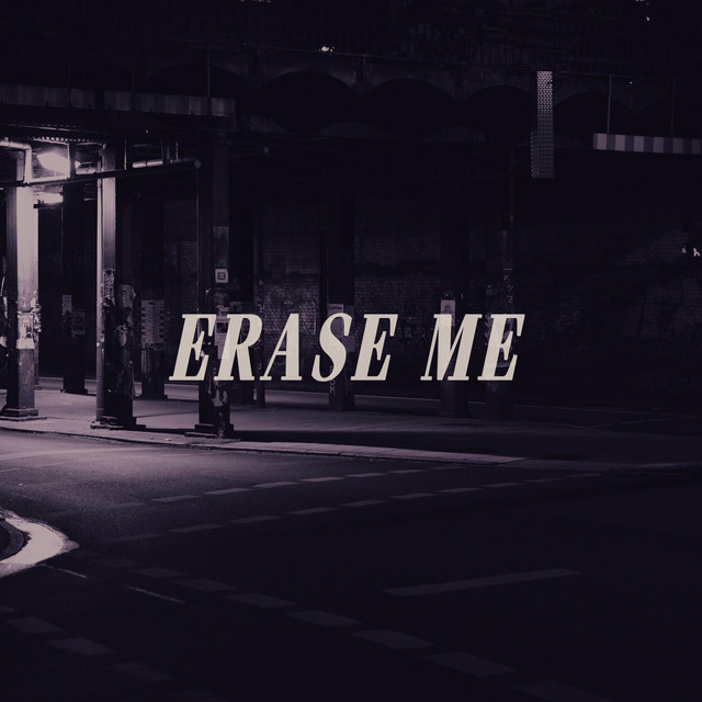 Erase Me cover art