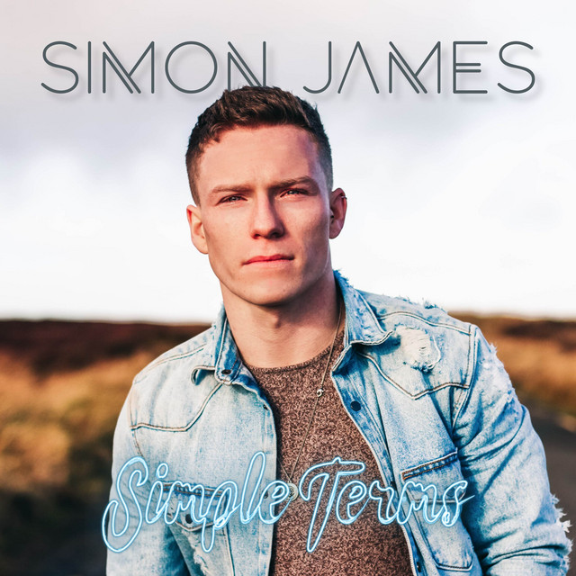 Simple Terms cover art