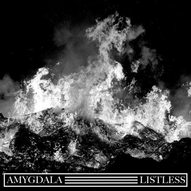 Amygdala and Listless Split cover art