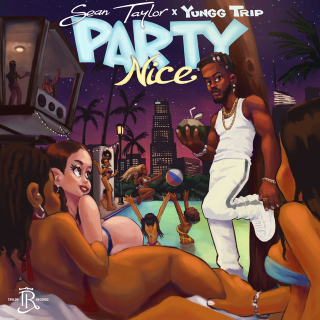Party Nice cover