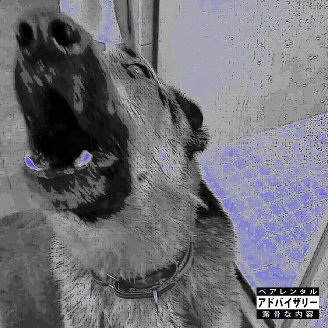 DOGHOUSE cover art