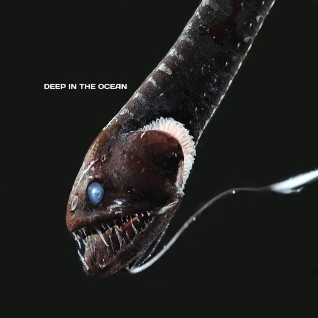 DEEP IN THE OCEAN cover art
