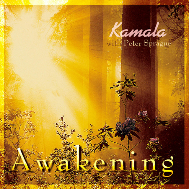 Awakening cover art
