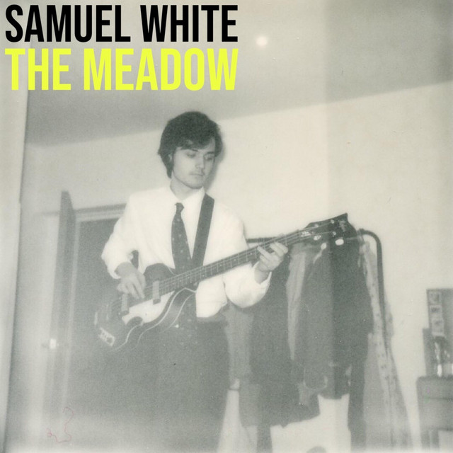 The Meadow cover art