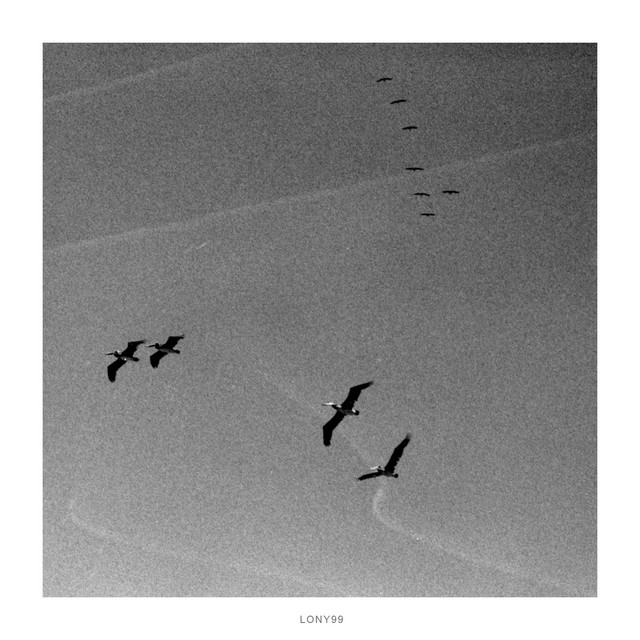 Lonely Night cover art
