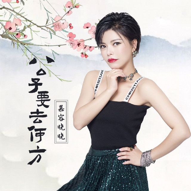 公子要去何方 cover