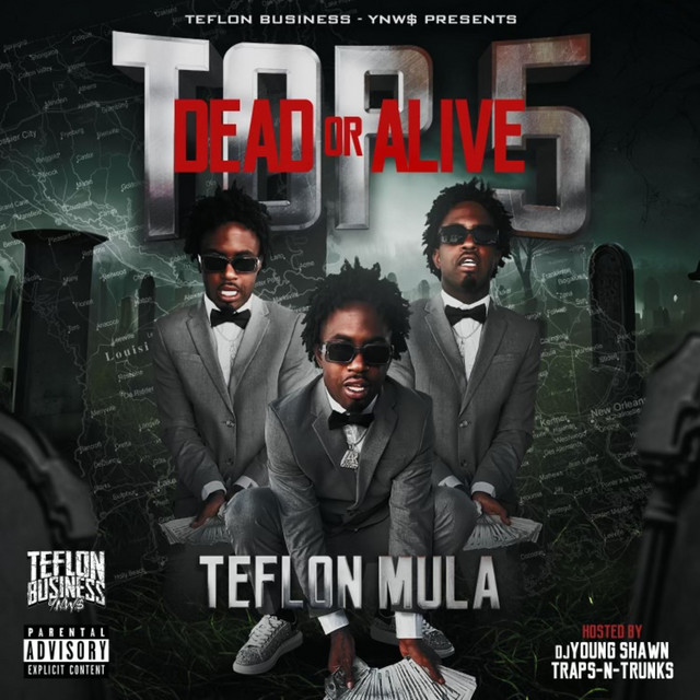 Top 5 (Dead or Alive) cover art