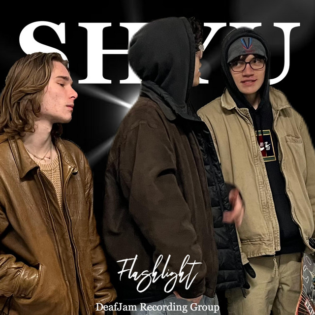 Flashlight cover art