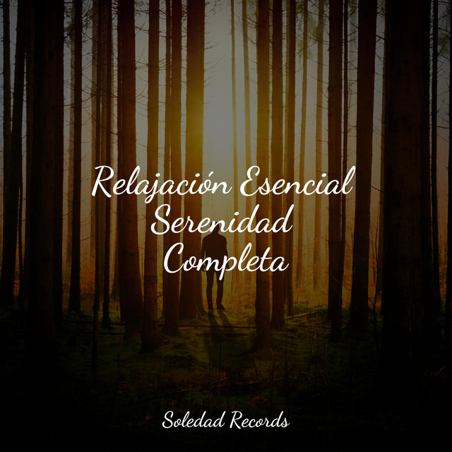Relajación Esencial Serenidad Completa
