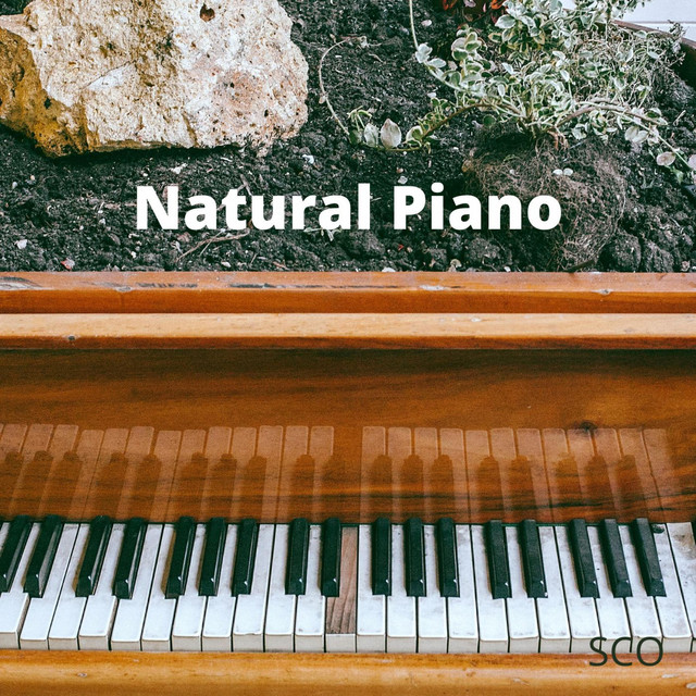 Natural Piano cover art