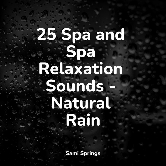 25 Spa and Spa Relaxation Sounds - Natural Rain - Album by Spa Music ...