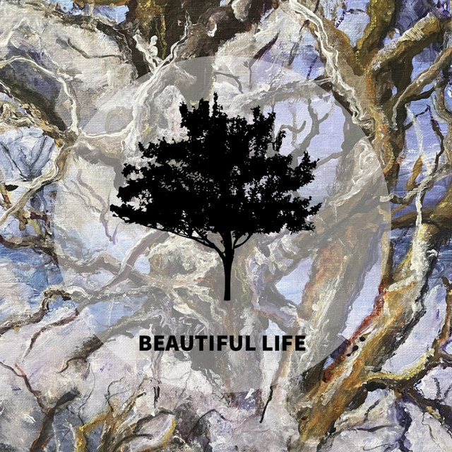 Beautiful Life - Single by Terrance DH | Spotify