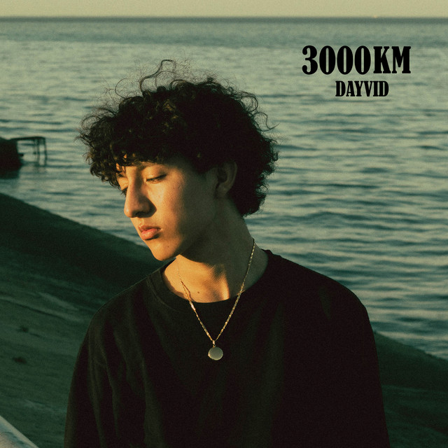 3000 Km