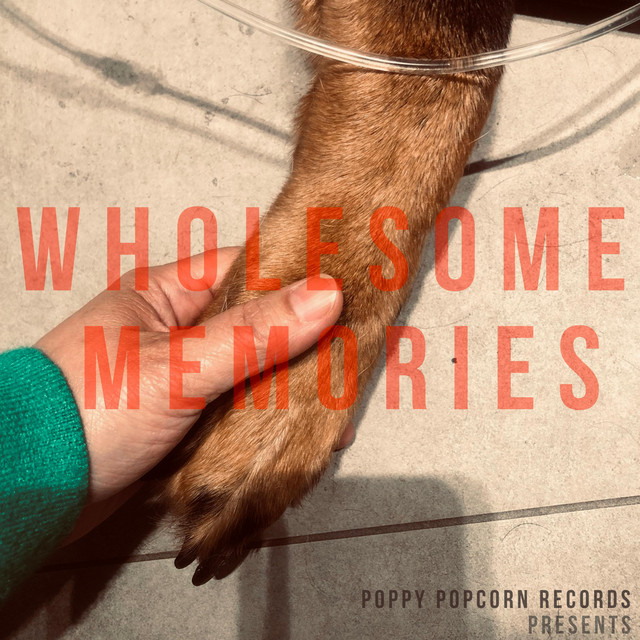 wholesome memories cover art