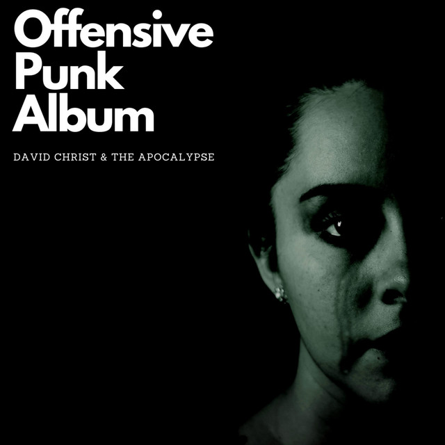 Offensive Punk Album cover art