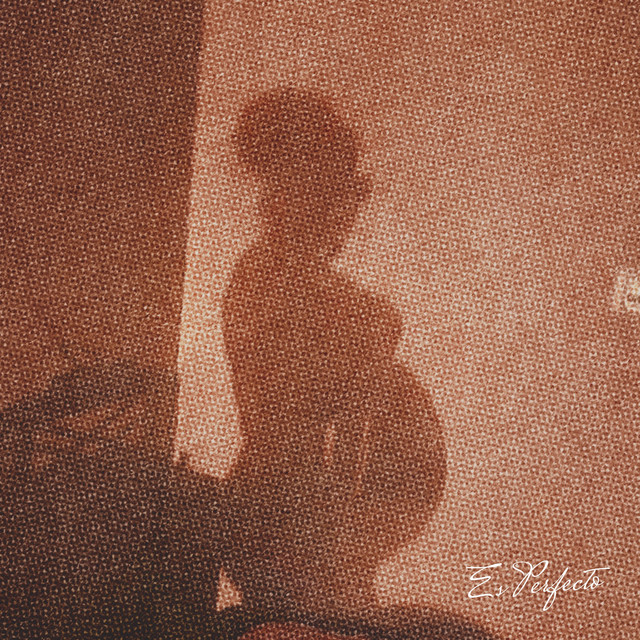 Es Perfecto cover art