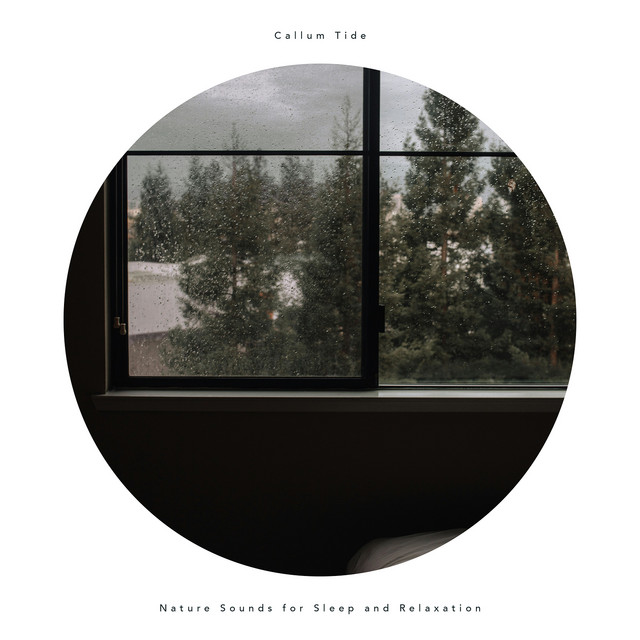 Nature Sounds - Rain cover art