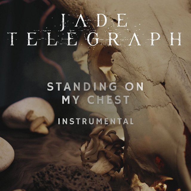 Standing on My Chest (Instrumental)