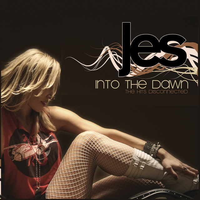 Into The Dawn (The Hits Disconnected) cover art