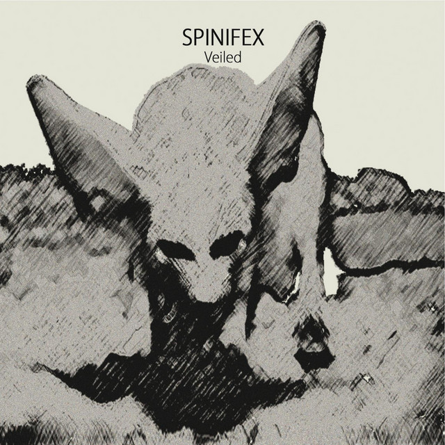 Veiled cover art