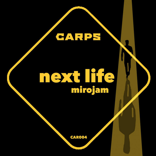 Next Life cover art