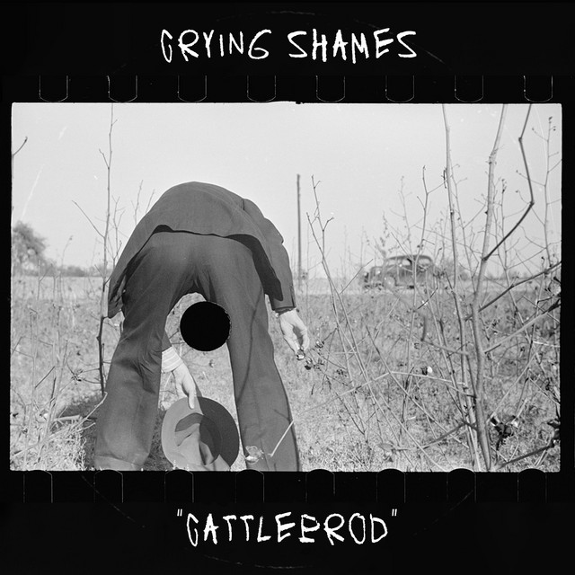 Cattleprod cover art
