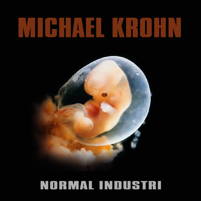 NORMAL INDUSTRI cover art