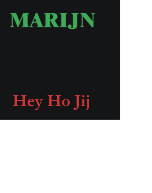 Hey Ho Jij cover
