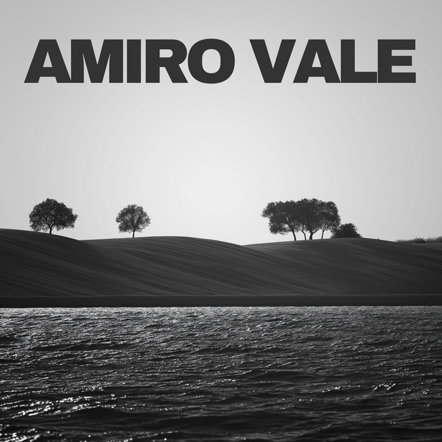 Amiro Vale