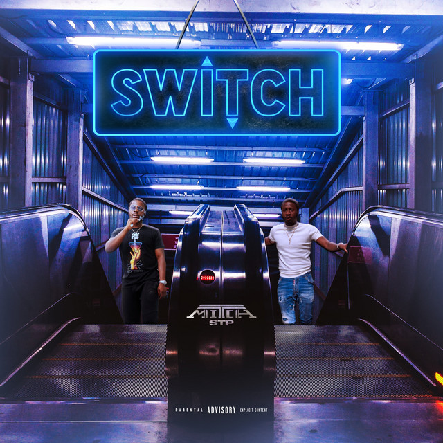 Switch cover art
