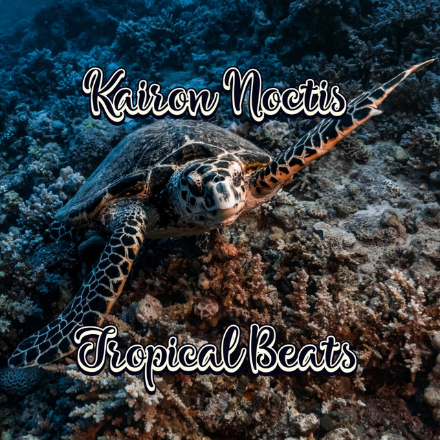 Kairon Noctis