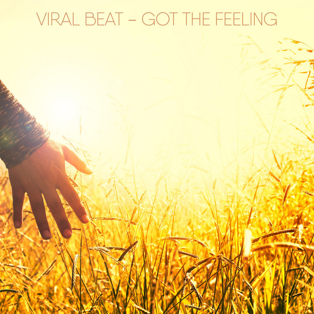 Got The Feeling cover