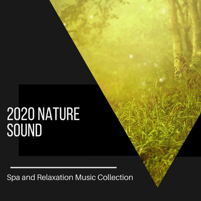 2020 Nature Sound - Spa and Relaxation Music Collection cover art