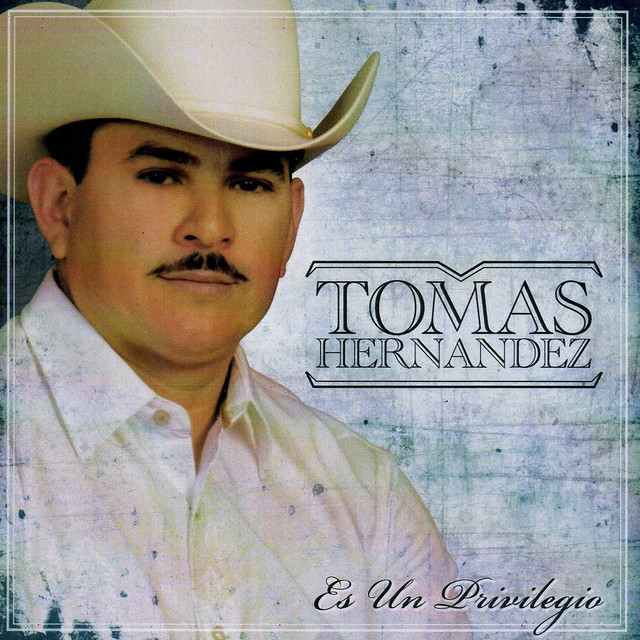 Es Un Privilegio cover art
