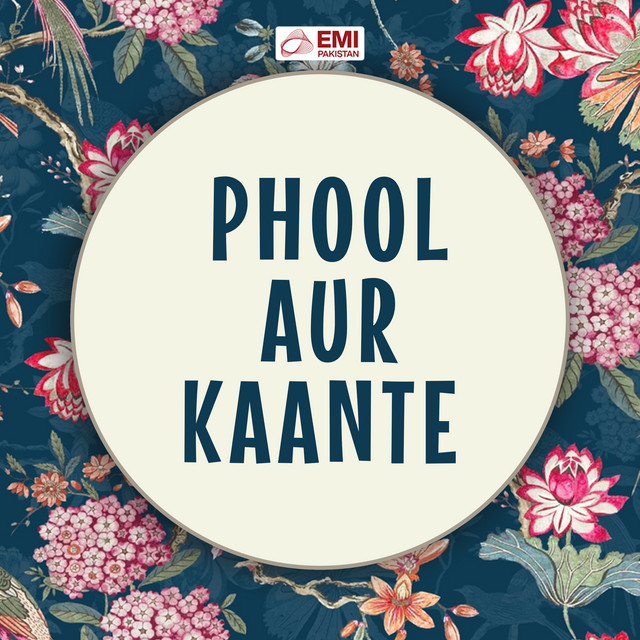 Aek Firdous Hai Maan Ki Aaghosh Mein cover art