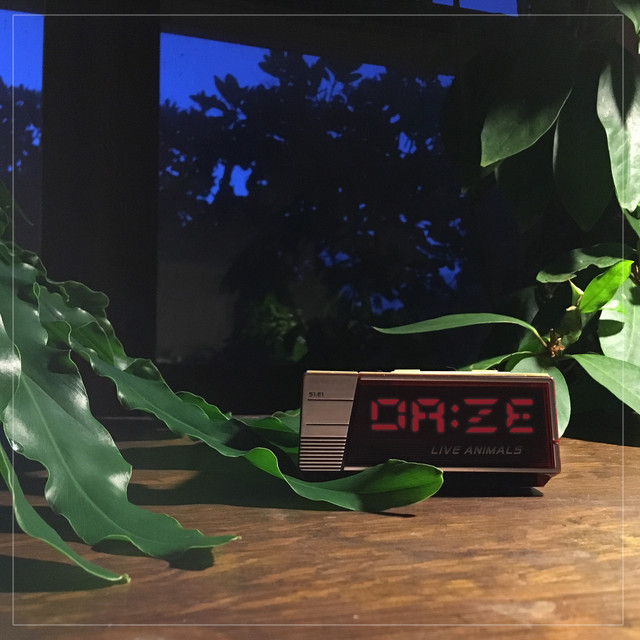 Daze cover